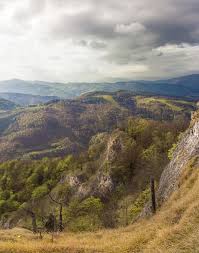 akcie, strenutia, podujatia